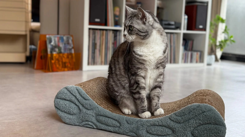 タフティングでつくってみよう！＃7　猫の爪研ぎカバー - RUGMATAG