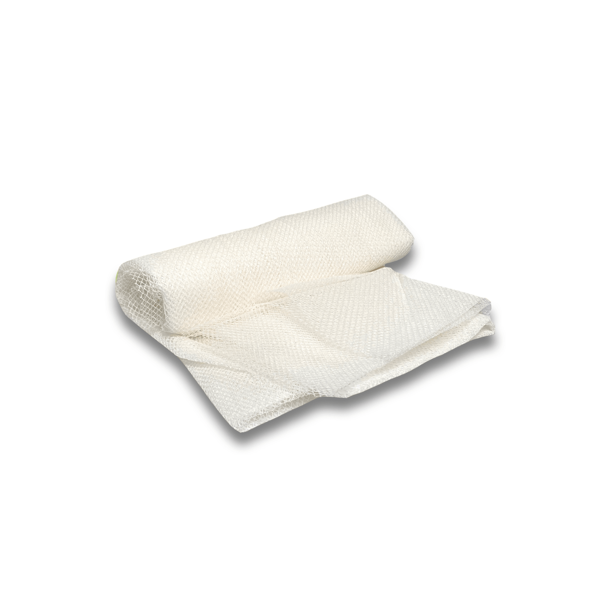 希少な落葉樹 良品の アオモジ 437 樹高2.1m位 青文字 高級楊枝 希少な落葉樹 良品の アオモジ 437 樹高2.1m位 青文字 高級楊枝